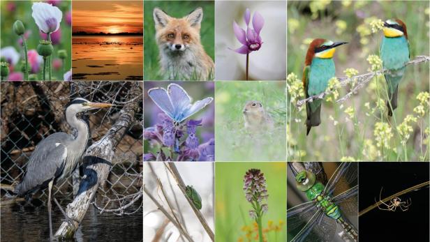Naturfotografie